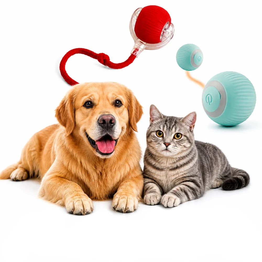 Petwag Interactive Cat & Dog Toy Combo – Self-Rolling Ball + Rope Pull Toy for Pets (Rechargeable, Fun & Exercise Toy)