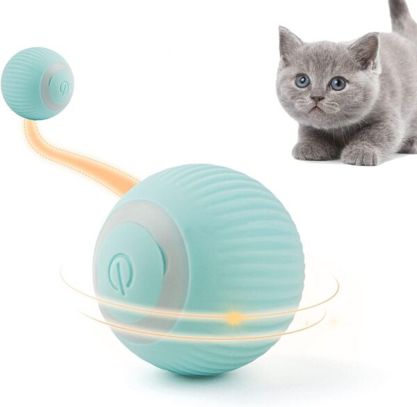 cat toys